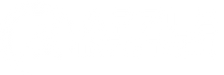 Apzle Infotech White Logo